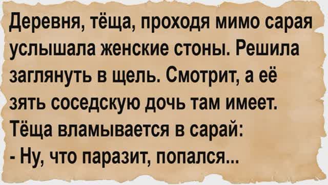 Как тёща зятя на горячем поймала смотреть онлайн