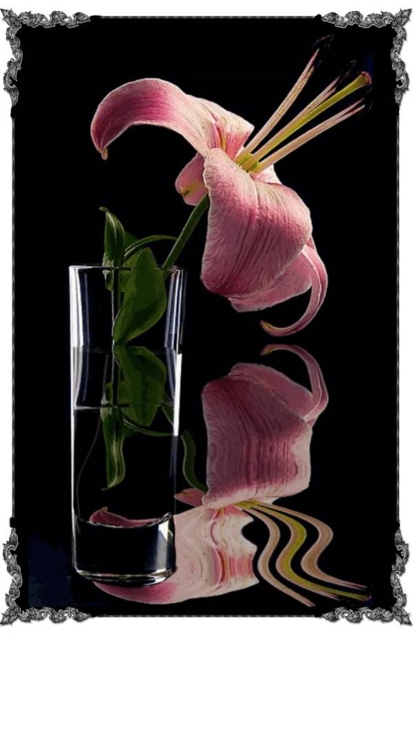 Каждый человек ... смотреть онлайн