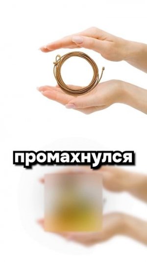 Два гения математики