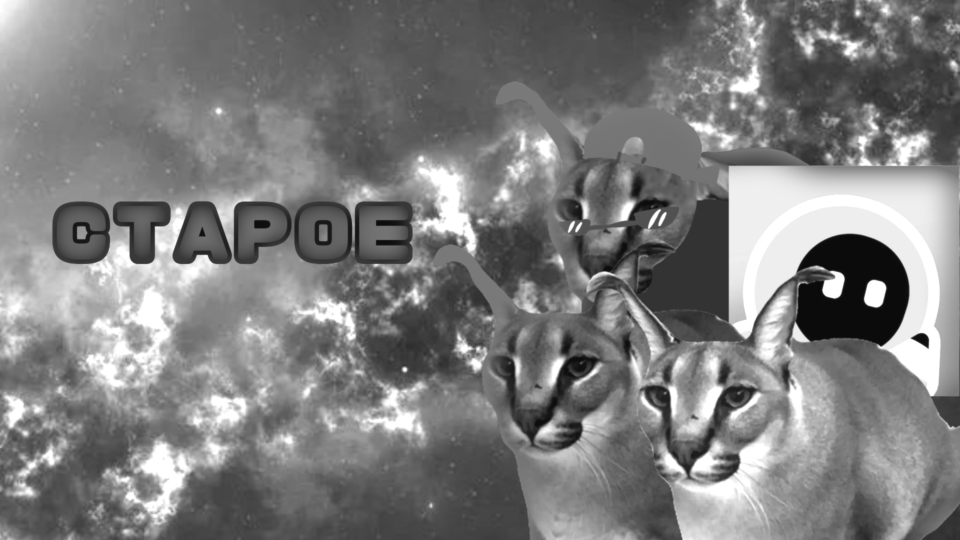 (СТАРОЕ) Презентация Floppa Live 1 выпуск