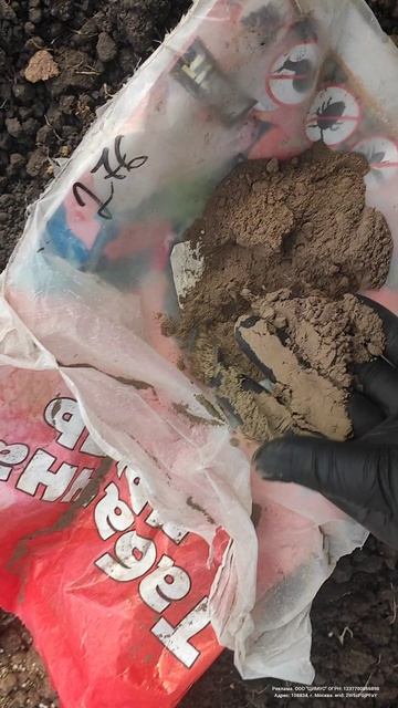 Как посадить чеснок без хлопот и химии смотреть онлайн