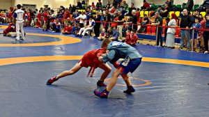 Первенство городского округа Мытищи по самбо