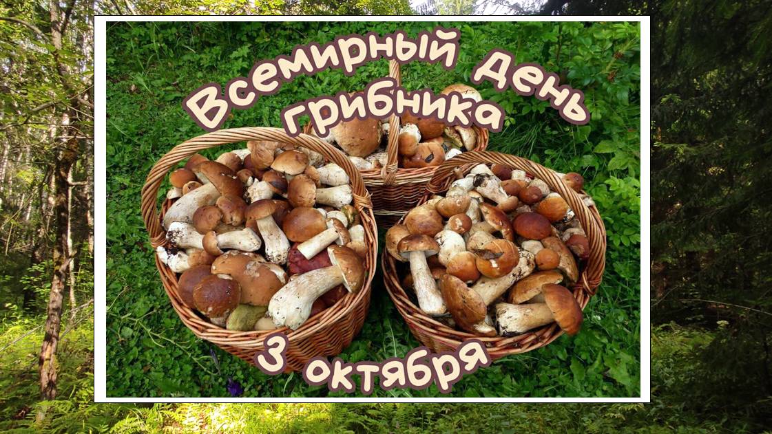 Наше поздравление всем грибникам!