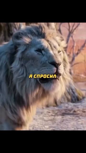 муфаса: Король Лев