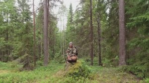 ОНИ МЕНЯ ОКРУЖАЛИ А Я ИХ РЕЗАЛ. Много грибов. Сбор грибов в Карелии. Поход за грибами. Грибы пошли