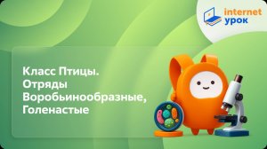 Биология 7 класс. Класс Птицы. Отряды Воробьинообразные, Голенастые