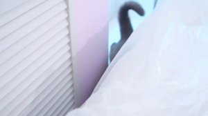 КОШЕЧКА БАТТЕРС ПЕРВАЯ ЗАХОДИТ В НОВУЮ КВАРТИРУ | ПЕРЕЕЗД ЭЛИС И БАТТЕРС В НОВЫЙ ДОМ!