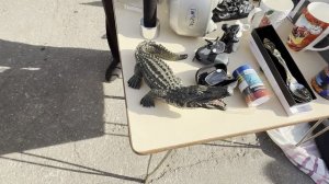 Блошиный рынок Рязани. Фарфор Агашки, нарды, лампада оригинальная 19 век, награды и т.д #обзор