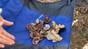 Отдых на природе, особенно возле реки.