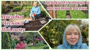 Болеть некогда Полегчало и премся на дачу.Чеснок сажаю только так.Секреты урожаяперца и томатов