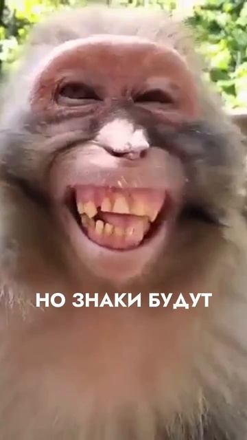 Яркая улыбка и стоматолог смотреть онлайн