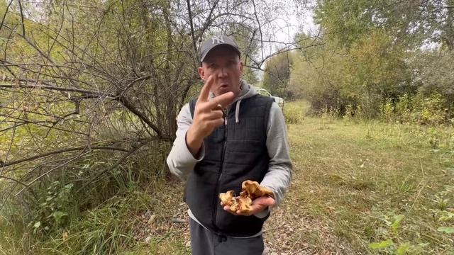 Наш идеальный день на природе: лес, река и полный релакс! смотреть онлайн