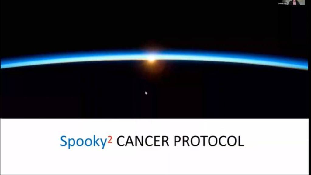 Debbie Rich's webinar - How use Spooky2 Cancer Protocol(EN) - для перевода в яндекс-браузере смотреть онлайн