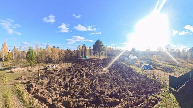 4442316 смотреть онлайн