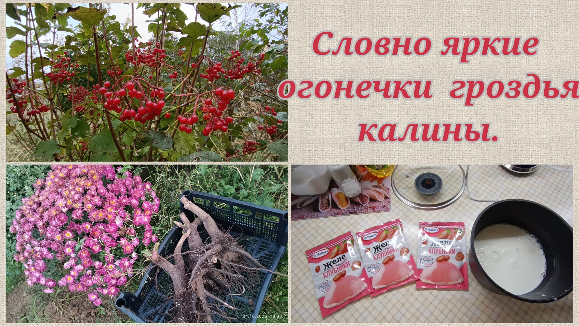 Убираю георгины.Корни Мирабилиса. смотреть онлайн