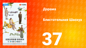 Блистательная Шаохуа 37 серия