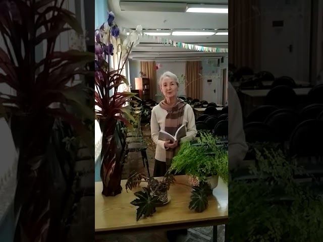 Крымская Акция "Вести-Крым читают" смотреть онлайн