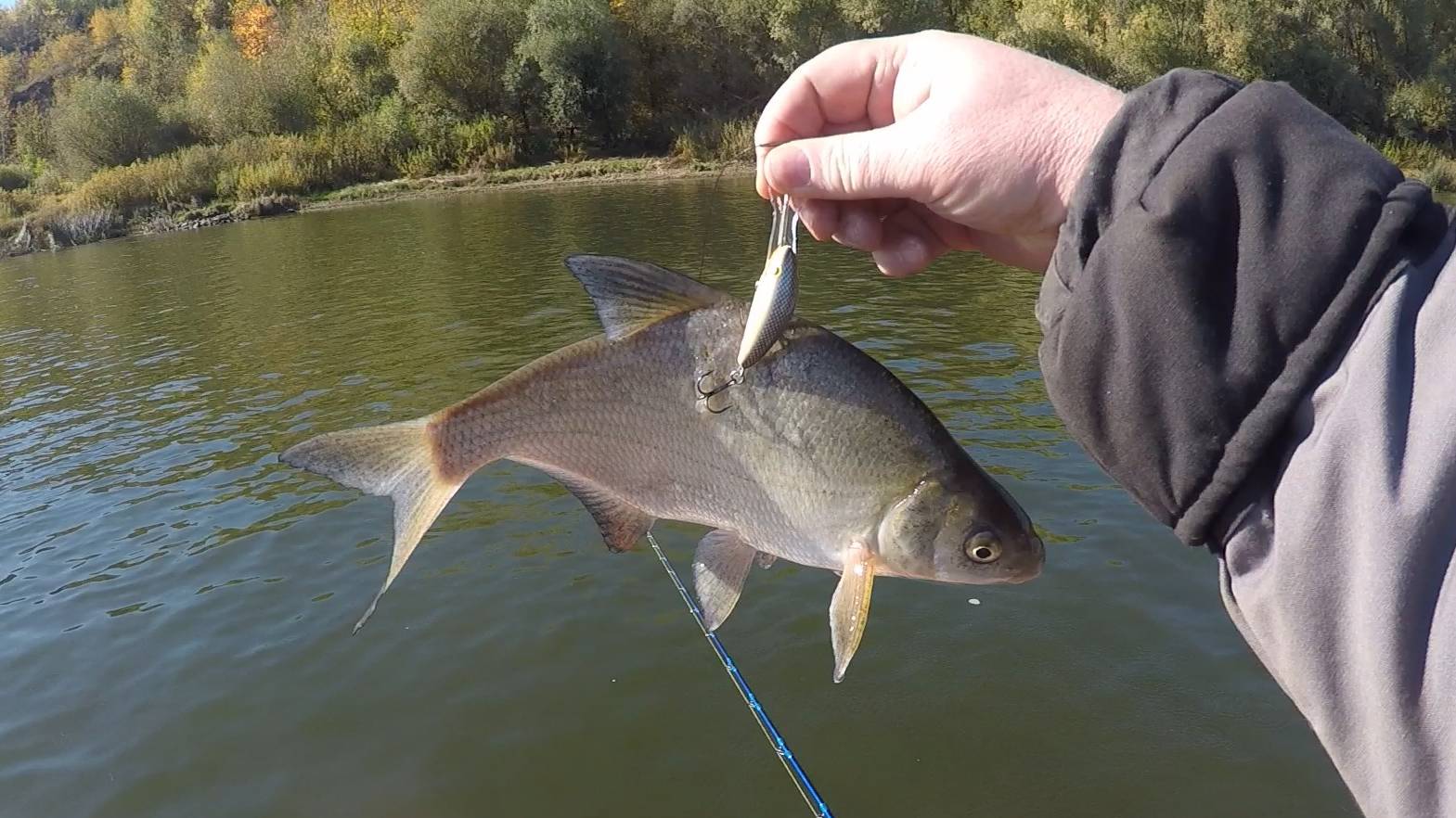 Необычная поимка на спиннинг, упирался тянул на дно всё по взрослому.)))