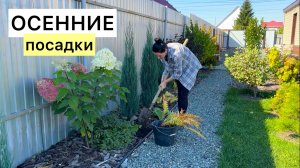 НЕ смогла усидеть на месте! Создаю свой ИДЕАЛЬНЫЙ САД!