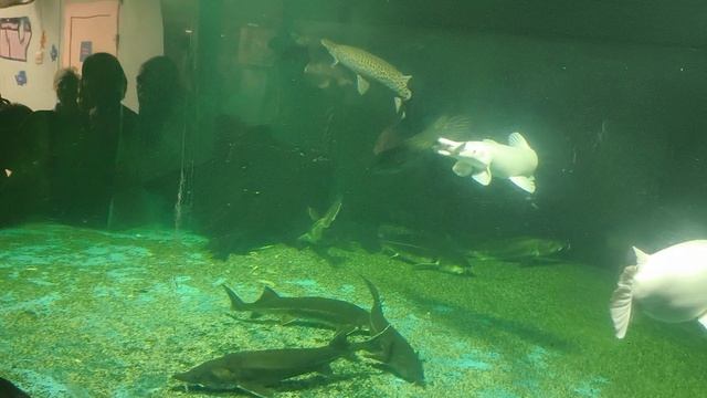 08.2025 Пенза Океанариум (4)