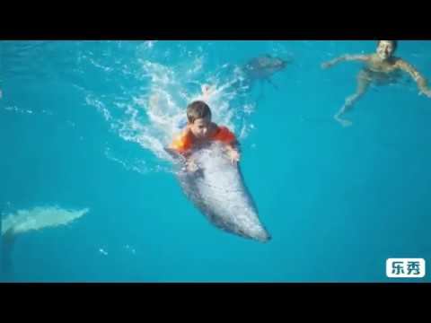 На конкурс "Я живу в Ялте! Я живу в Крыму!" смотреть онлайн