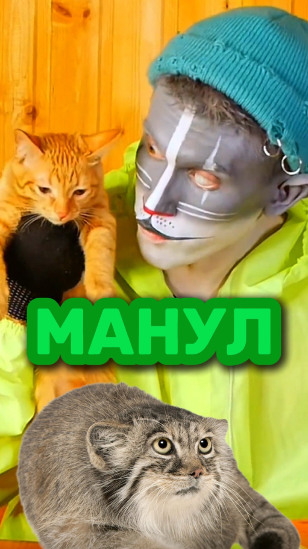 Кот Учёный и Манул 🐈 смотреть онлайн