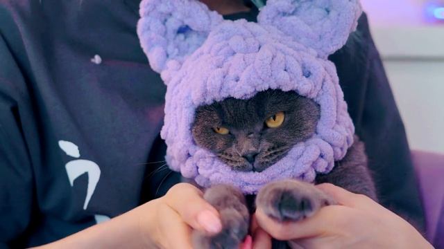 ДЕЛАЮ УШКИ ДЛЯ ШАПОЧЕК КОТИКА И ПЁСИКА | БАЛАКЛАВА ДЛЯ КИСЫ И СОБАЧКИ - ОДЕЖДА ДЛЯ ПИТОМЦЕВ смотреть онлайн