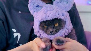 ДЕЛАЮ УШКИ ДЛЯ ШАПОЧЕК КОТИКА И ПЁСИКА | БАЛАКЛАВА ДЛЯ КИСЫ И СОБАЧКИ - ОДЕЖДА ДЛЯ ПИТОМЦЕВ