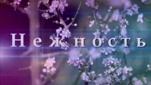 3 февраля международный день нежности. Нежности не нужно громких слов. Песня о нежности