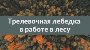 Трелевка леса