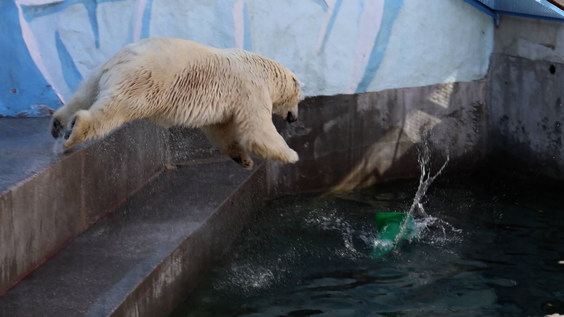 Прыжки Кая.. смотреть онлайн