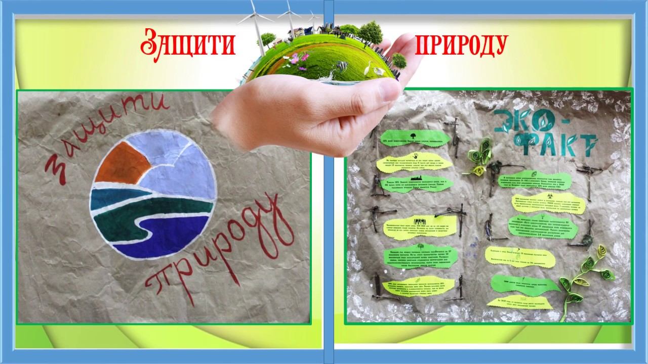 Экологический калейдоскоп. смотреть онлайн