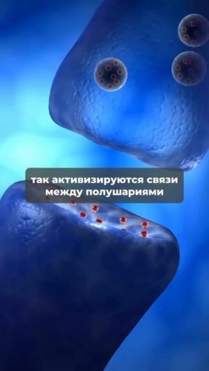 Энциклопедия знаний📚