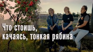 Что стоишь, качаясь, тонкая рябина. Казачий ансамбль Атаман