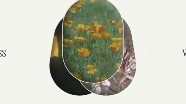 Мощный ИИ-браузер Comet от Perplexity вышел для ВСЕХ — это буквально Chrome, но лучше.