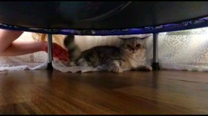 ЭЙ! ВЫ ТАМ, НАВЕРХУ!