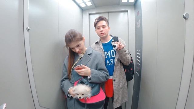 ОПЕРАЦИЯ СОБАЧКИ ЭЛИС НА СЕРДЦЕ | ВЕЗЕМ ЭЛИС В БОЛЬНИЦУ! смотреть онлайн