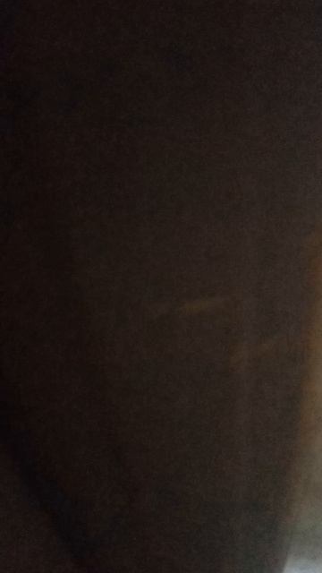 кошка гибрид белки так же смотреть онлайн