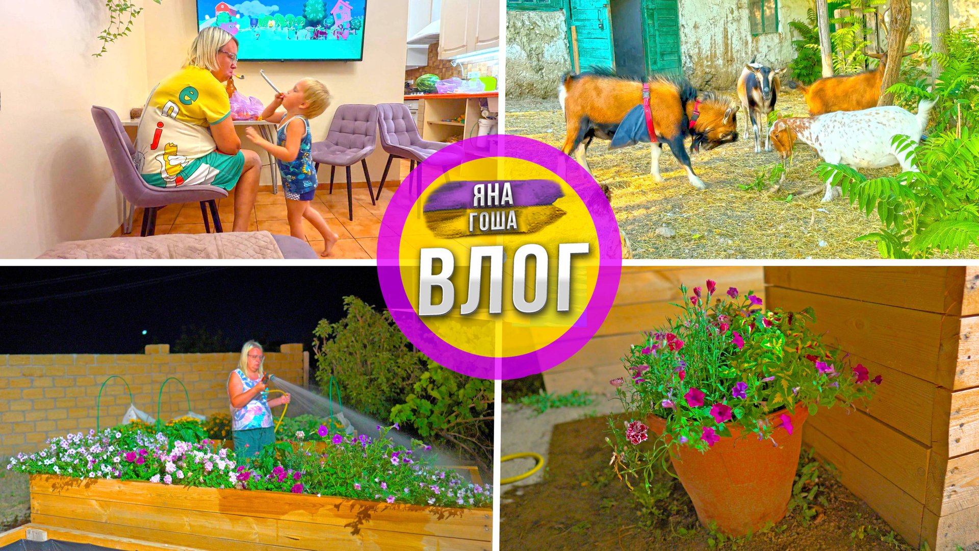 Ферма. Крым. Сын. Весело и красиво. Лучший семейный влог. смотреть онлайн