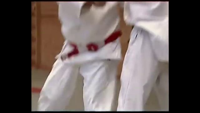 RENRAKU WAZA (LIAISONS) (1)