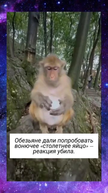 Вот су&%а🗿 смотреть онлайн