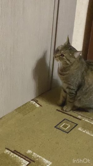 устал!