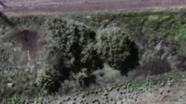 БПЛА vs пехота. Бывшие игрушки из магазина превращаються превращаються в шорты. смотреть онлайн