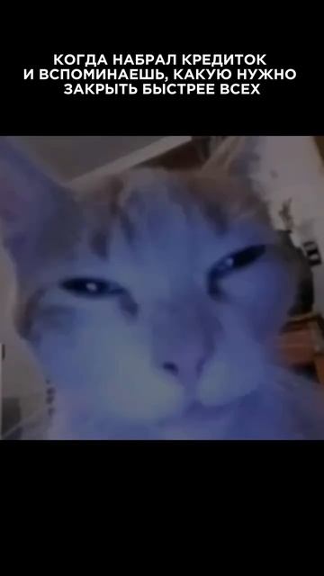 Когда набрал кредиток и вспоминаешь, какую надо закрыть первой смотреть онлайн
