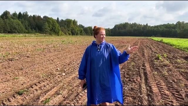 УБОРКА КАРТОФЕЛЯ 2024  Зарабатываем всей семьём на картошке в деревне
