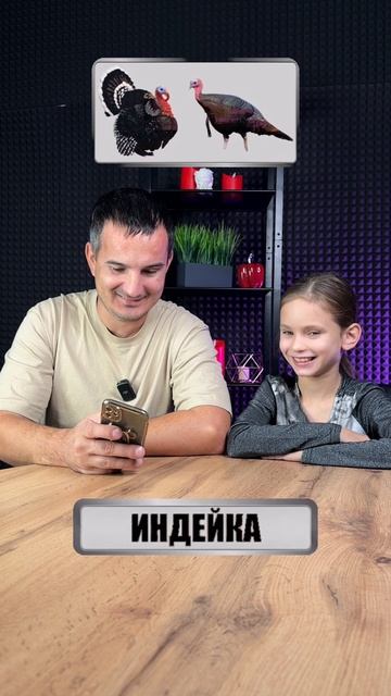 КВИЗ смотреть онлайн