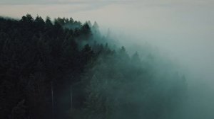 Я милость Твою вижу. Петр Бальжик