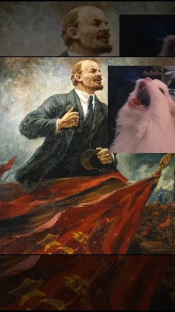 Кошачий гимн