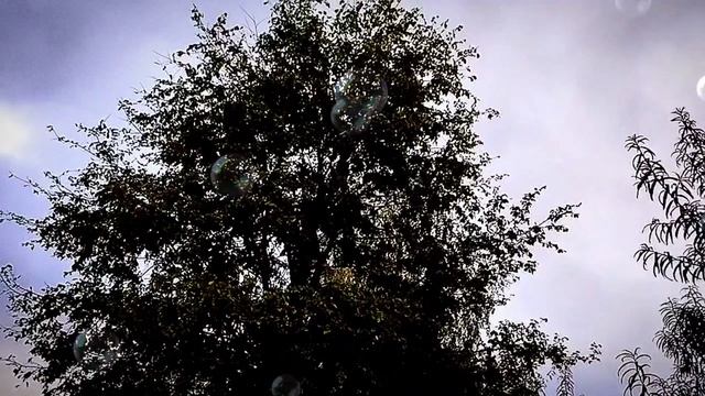 1000097750.mp4"Инна Судакова: Одиссея в поисках идеальной кружки (и немного треша из Турции)" смотреть онлайн