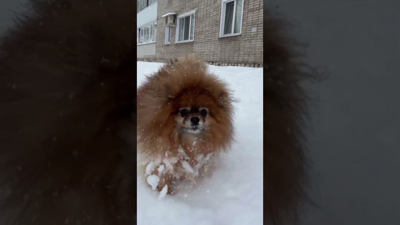 Бугульма 16.03.2025